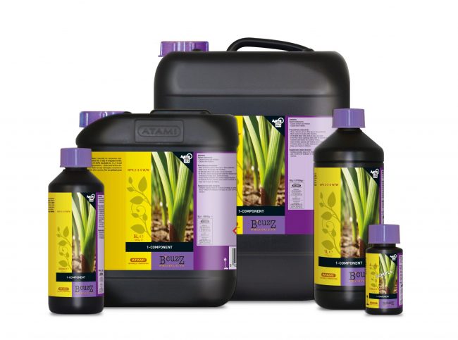 B_cuzz_1_Component_family_3