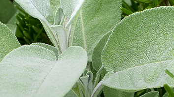 csm_1905x200 Small header 9-SSD sheets_70c2d9a2d9